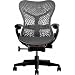 Mirra Chair by Herman Miller - Official Retailer - Fully Featured - Graphite Frame - Graphite