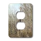 Angelique Cajams Safari Giraffes - Kruger Giraffe Full view - Light Switch Covers - 2 plug outlet cover