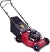 Mountfield 46PD Four-Wheel Petrol Lawnmower (B&S Engine) (Showroom Model)