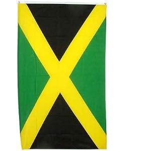 New Large 3x5 South African Flag National