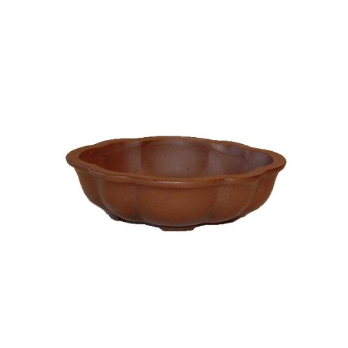14cm Tokoname Quality Cloud-Shaped Bonsai Pot