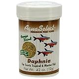 Aqua Select Freeze Dried Daphnia - 0.42 oz.