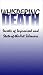 Whispering Death: Secrets of Improvised and State-Of-The-Art Silencers [VHS]