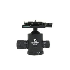 Giottos GTMH1300-621 Kugelkopf mit Friktionsfunktion und Schnellwechselplatte (Gewicht: 0,75 kg, max. Belastbarkeit: 15 kg) schwarz