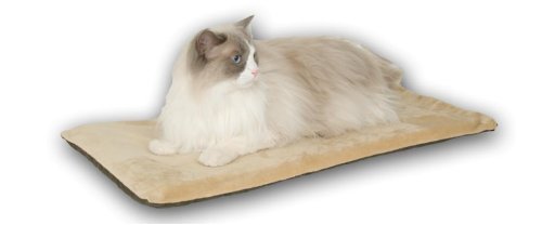 Childrens Toyshop  Pet Supplies : K&H Thermo-Kitty Mat 12.5" x 25", Sage