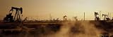 Oil Drills in a Field, Maricopa, Kern County, California, USA Photographic Poster Print by Panoramic Images, 42x14