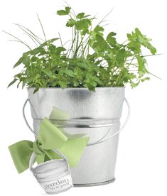 Herbs in a Pail: the easy, all-in-one indoor herb garden!