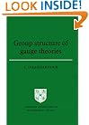 Group Structure of Gauge Theories (Cambridge Monographs on Mathematical Physics)
