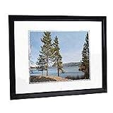 Digital Spectrum MemoryVue 1700 U-30353 17 Digital Picture Frame (Black)