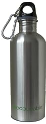 Ecousable - 16 oz Stainless Steel Water Bottle