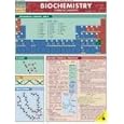 Biochemistry: Chemical Concepts (Quickstudy: Academic) by  Mark Jackson
