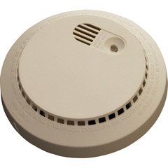 B/W CCD Covert Smoke Detector Camera