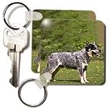 Dogs Australian Cattle - Australian Cattle Dog - Key Chains