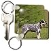 Dogs Australian Cattle - Australian Cattle Dog - Key Chains