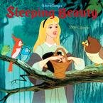 Sleeping Beauty 2009 Mini Wall Calendar