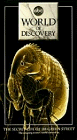 World of Discovery: The Secret Life of 118 Green Street
