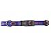 Florida Gators Royal Blue Adjustable Dog Collar
