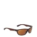 Ray Ban Sonnenbrille RB4188