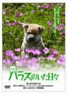 ハラスのいた日々 [DVD]