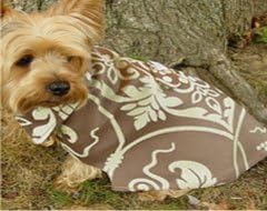 Chocolate Pistachio Gelato Dog Coat (Small)