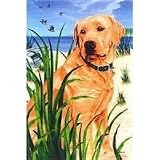 Yellow Lab House Flag by GR8 Dogs (Multi, 25a x 38a )