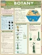 Botany: Study of the Plant Lkingdom...our Essential Partners in Life (Quickstudy Academic)