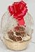 Gourmet Food : 1 Pound Assorted Cookie Basket