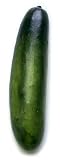 Artificial Cucumber, Box of 6 Artificial Cucumber, Box of 6
