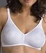 Grenier Lifestyle Soft Cup Extra Smooth Shaping Bra