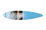 Graphic Pin tail Longboard Deck 44 x 10 Minor Scrathches