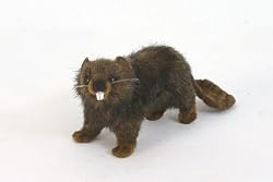 Beaver Limited Edition Plush Toy in Clear Box By Hansa