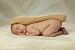 Baby : Zakeez The Zaky Bonding Hand