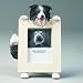 Dog Frame - Border Collie