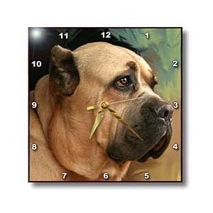 Cane Corso - 10x10 Wall Clock