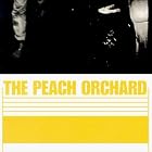 Peach Orchard by In Order To Survive and William Parker