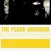 Peach Orchard