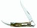 Case Cutlery 910096AB Abalone Corelon Toothpick Pocket Knife with Stainless Steel Blade, Green, Gray, White and Gold Mixed Corelon