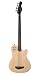 Godin A4 Two-Chambered Electro-Acoustic Bass Guitar (Natural, Fretless)