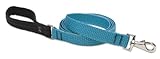 Eco by Lupine 1-Inch Recycled Fiber Padded Handle Leash for 6-Feet Medium to Large Dogs, Tropical Sea