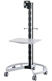 HAYAMI �yHAMILEX�z �uPH�V���[�Y�v ���^�e���r�X�^���h�EVESA�K�i�p(13V~23V�^) PH-710