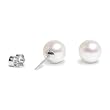 HinsonGayle Gem Collection Handpicked AAA 7.5-8.0mm White Cultured Pearl Stud Earrings (14K White Gold)