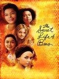 play video on Amazon Instant Video