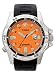 Timex Mens Expedition Dive Watch