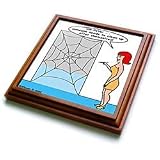 Rich Diesslins Funny General - Editorial Cartoons - Issues of the Real Spiderman - Cleaning - Trivets
