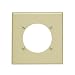 Leviton 80530-I 2-Gang Flush Mount 2.465-Inch Diameter, Device Receptacle Wallplate, Device Mount, Midway Size, Ivory