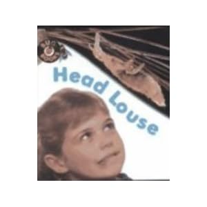 Head Louse (Bug Books)