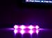 GoDoggie-GLOW - Improved Dog Visibility & Safety - USB Rechargeable LED Dog Safety Collar - 7 Colors & 5 Sizes - Super-Bright LED's Glow & Flash - Connects to Devices to Recharge - Great Fun, Peace of Mind & Safe - Pink Extra Large