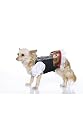 Cute And Matching Heidi Puppy Pet Dog Cat Costume Leg Avenue Medium, Brown