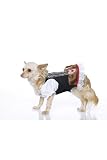 Cute And Matching Heidi Puppypet Dog Cat Costume Leg Avenue