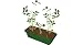 Search : Grow Your Own Peanuts Kit